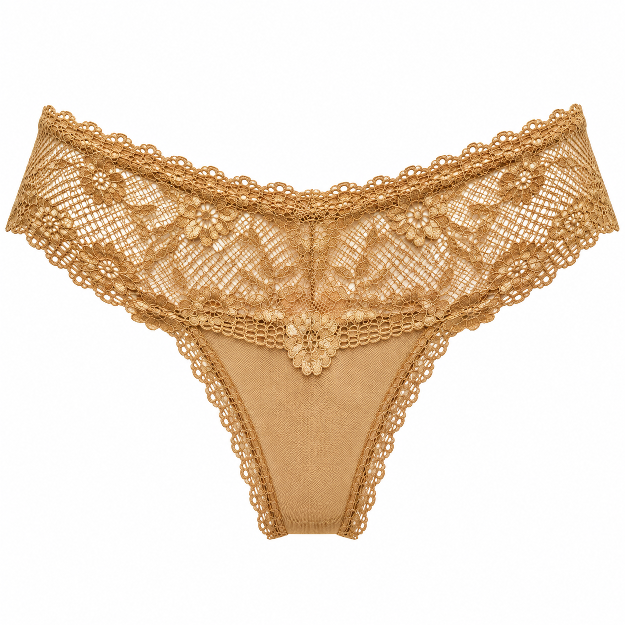 Lace & Tulle Brief – Lisa