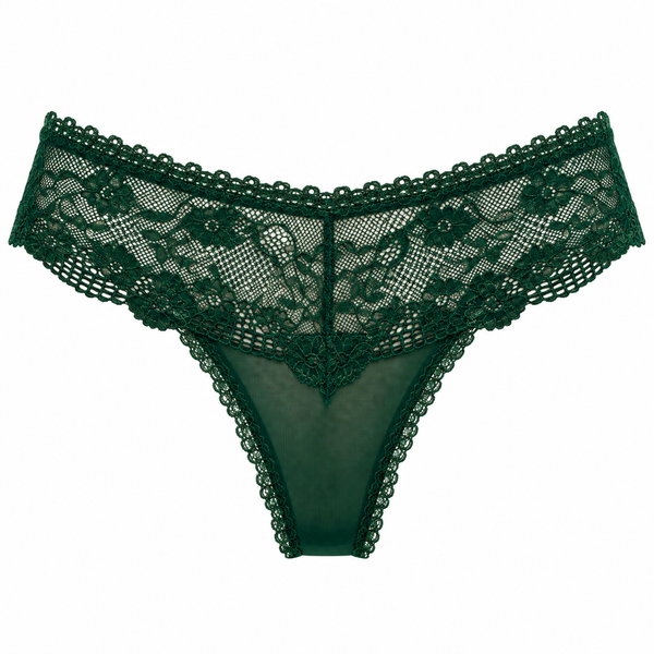 Lace & Tulle Brief – Lisa