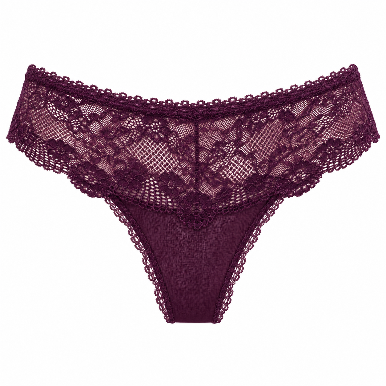 Lace & Tulle Brief – Lisa