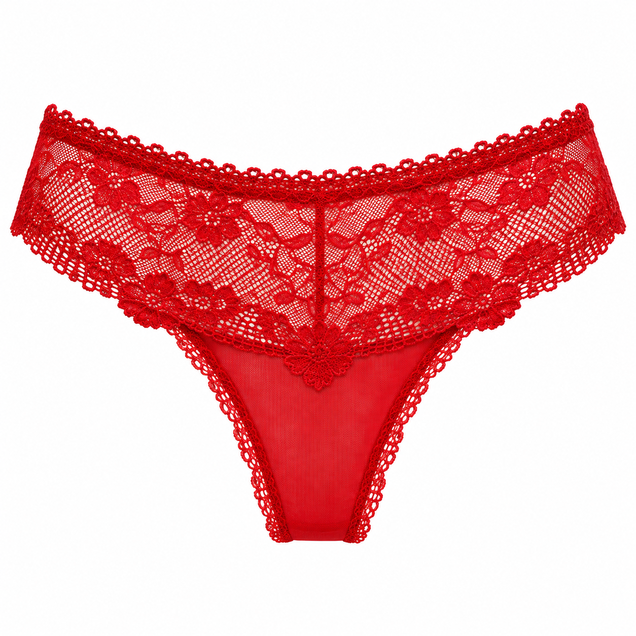 Lace & Tulle Brief – Lisa