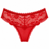 Lace & Tulle Brief – Lisa