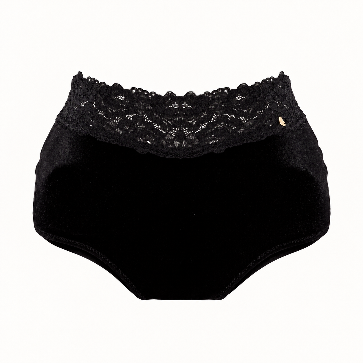 Velvet High-Waisted Brief – Denise