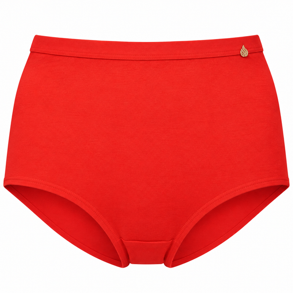 Culotte Taille Haute – Basic